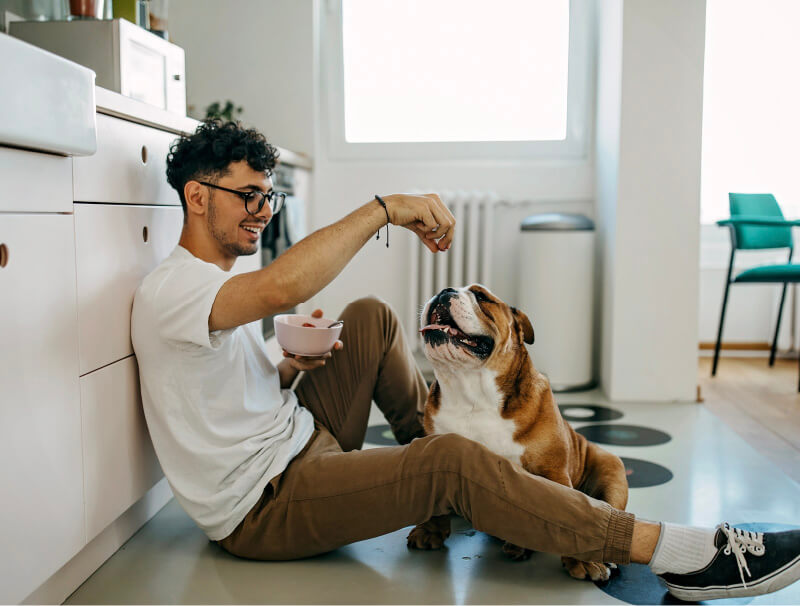 a man feeing his dog in his kitchen
