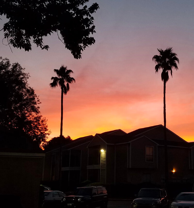 sunset skyline highlighting apartment building and palm tress